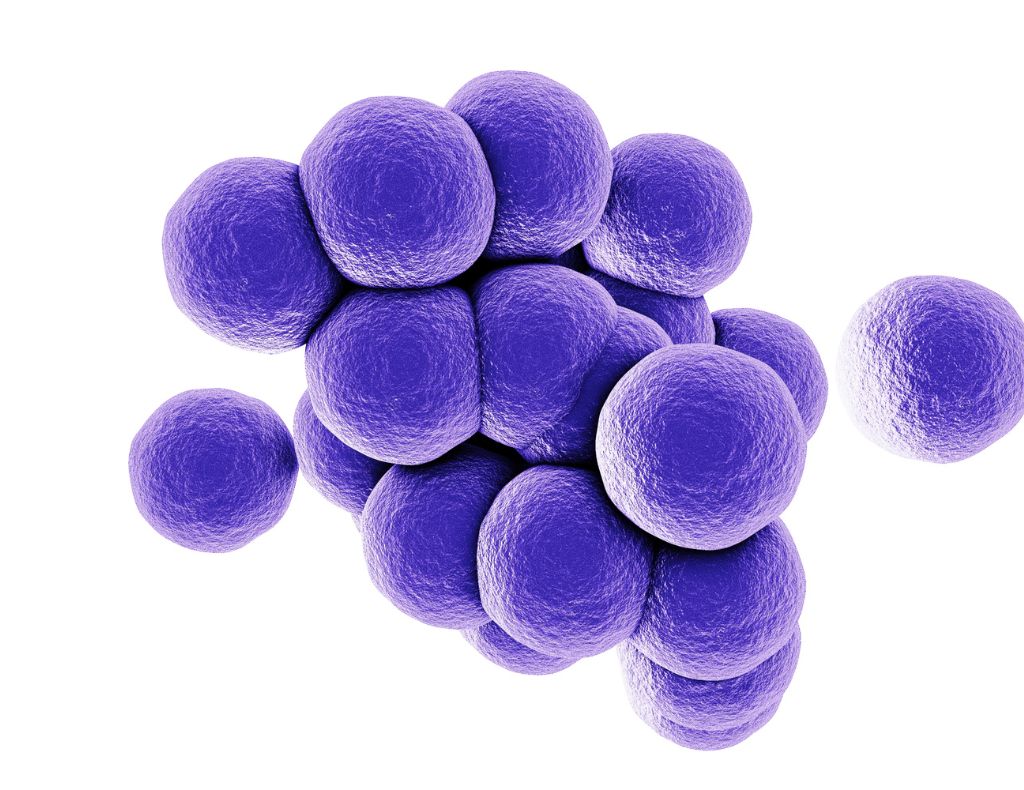 servicios de limpieza 12 - Limpiezas Galaecia